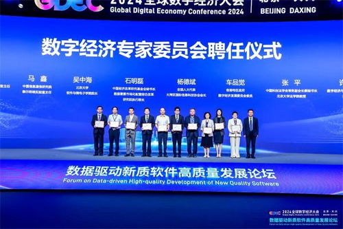 数据驱动新质软件高质量发展论坛在北京大兴成功举办，聚焦通川软件开发新路径